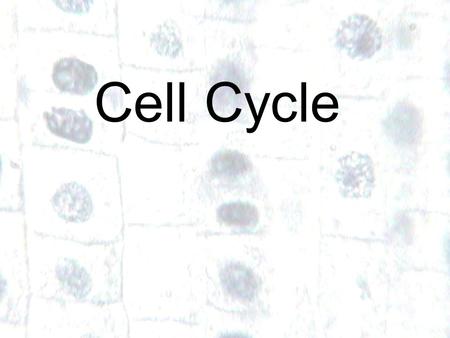 1 1 Cell Cycle. Skin cancer - the abnormal growth of skin cells - most often develops on skin exposed to the sun. Cell that reproduce by asexual reproduction.