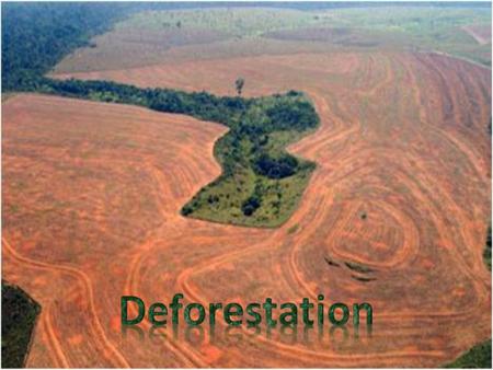 What is deforestation? Deforestation is the removal of trees in forests around the world Many reasons for deforestation More room for agriculture Logging.