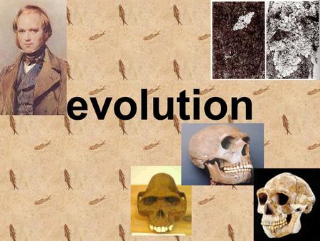 evolution What is evolution? A gradual change in the genes of a population of organisms over time.