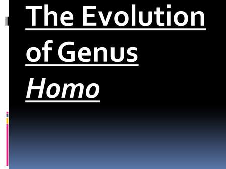 The Evolution of Genus Homo. Fig. 7-8, p. 165 Homo habilis  “Handy man.”  The first fossil members of the genus Homo appearing 2.5 million years ago,