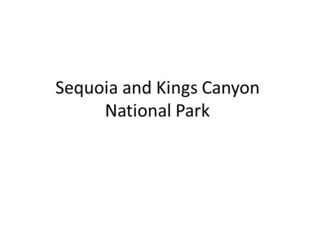 Sequoia and Kings Canyon National Park. This September I took a quick trip out to California and while out there I really wanted to visit the giant redwoods.