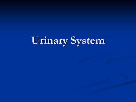 Urinary System. Quick Review Tell your neighbor your favorite movie Tell your neighbor your favorite movie Tell your neighbor what you would do with 1,000,000.