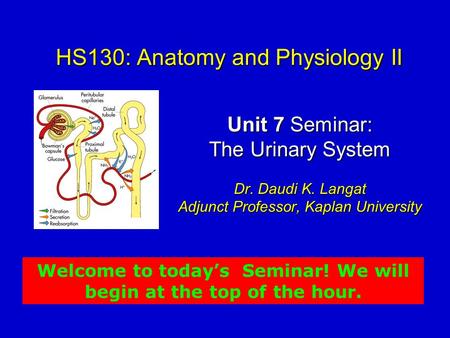 HS130: Anatomy and Physiology II