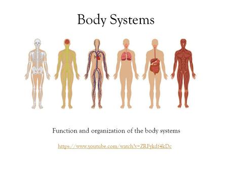 Function and organization of the body systems
