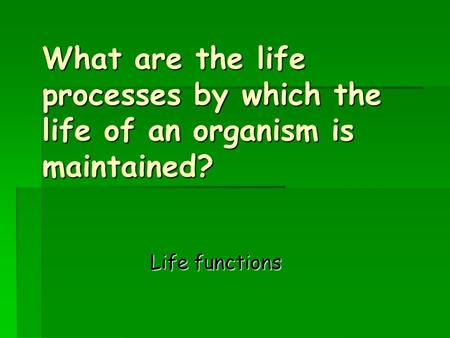 What are the life processes by which the life of an organism is maintained? What are the life processes by which the life of an organism is maintained?