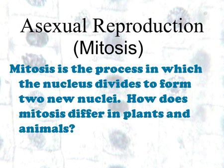 1 1 Asexual Reproduction (Mitosis) Mitosis is the process in which the nucleus divides to form two new nuclei. How does mitosis differ in plants and animals?