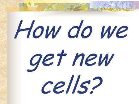How do we get new cells? Cells reproduce through a process called …