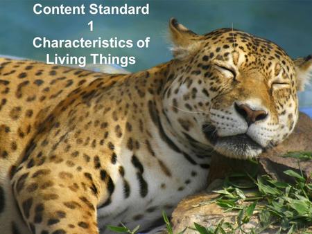 Content Standard 1 Characteristics of Living Things.