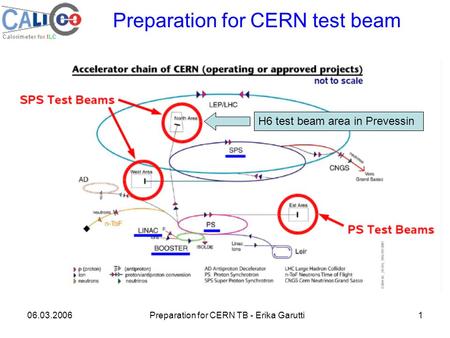 06.03.2006Preparation for CERN TB - Erika Garutti1 Preparation for CERN test beam H6 test beam area in Prevessin.