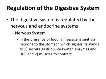 Regulation of the Digestive System The digestive system is regulated by the nervous and endocrine systems – Nervous System In the presence of food, a message.