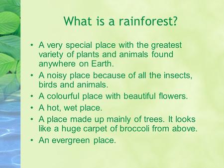 What is a rainforest? A very special place with the greatest variety of plants and animals found anywhere on Earth. A noisy place because of all the insects,