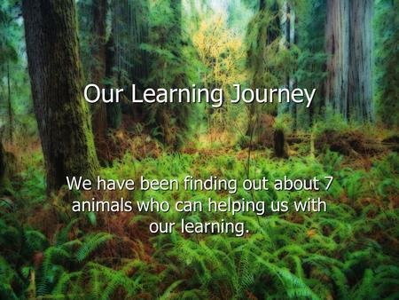 Our Learning Journey We have been finding out about 7 animals who can helping us with our learning.
