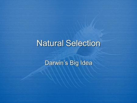 Natural Selection Darwin’s Big Idea. Charles Darwin (born February 12, 1809) was a British scientist. He sailed around the world as a naturalist, recording.