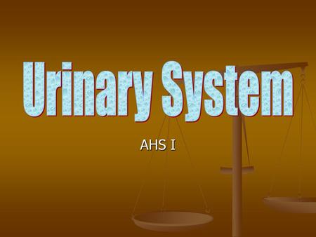 AHS I. Functions of Urinary System Excretion – removing nitrogenous wastes, certain salts and excess water from blood. Excretion – removing nitrogenous.