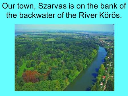 Our town, Szarvas is on the bank of the backwater of the River Körös.