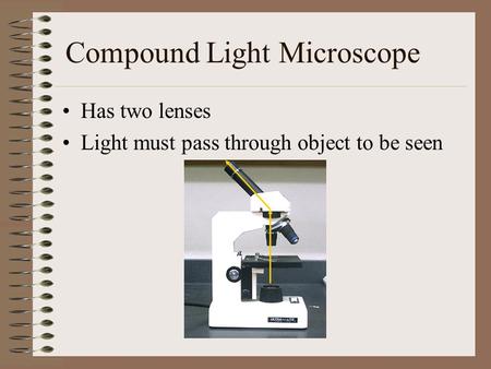 Compound Light Microscope Has two lenses Light must pass through object to be seen.