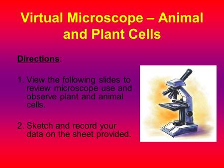 Virtual Microscope – Animal and Plant Cells Directions: 1.View the following slides to review microscope use and observe plant and animal cells. 2.Sketch.