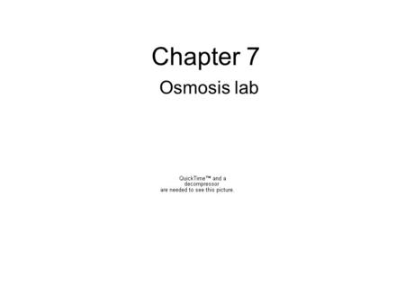 Chapter 7 Osmosis lab. Materials red onion forceps metric ruler Scissors paper towel iodine solution microscope slide coverslip dissecting probe microscope.