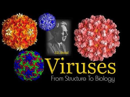 What is a Virus? Particle of nucleic acid and protein which reproduce only by infecting living cells.