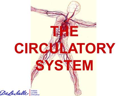 THE CIRCULATORY SYSTEM. The CS is made up of the heart, blood and blood vessels, the circulatory system is your body's delivery system.
