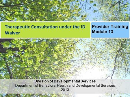 Therapeutic Consultation under the ID Waiver Division of Developmental Services Department of Behavioral Health and Developmental Services 2013 Provider.