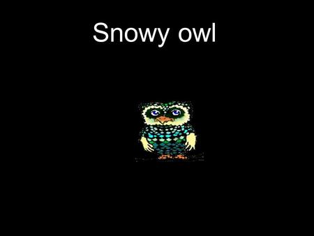 Snowy owl. TYPE The snowy owl is a type of bird.