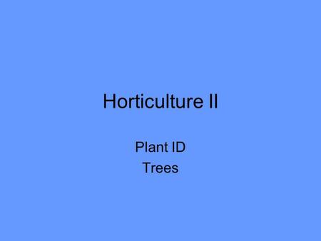 Horticulture II Plant ID Trees. Acer platanoides CN: Norway Maple Large deciduous tree 40-60’ Leaves: opposite, 5-lobed, 4-7” – dark green – yellow in.