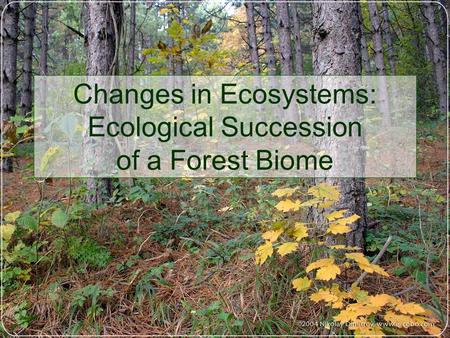 Changes in Ecosystems: Ecological Succession of a Forest Biome.