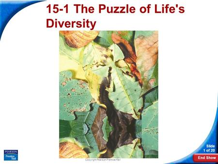 End Show Slide 1 of 20 Copyright Pearson Prentice Hall 15-1 The Puzzle of Life's Diversity.