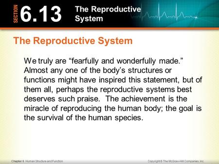 Copyright © The McGraw-Hill Companies, Inc.Chapter 6 Human Structure and Function The Reproductive System We truly are “fearfully and wonderfully made.”