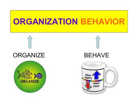 ORGANIZATION BEHAVIOR ORGANIZE BEHAVE. Course Contents.