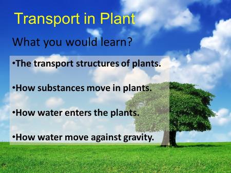 Transport in Plant What you would learn?