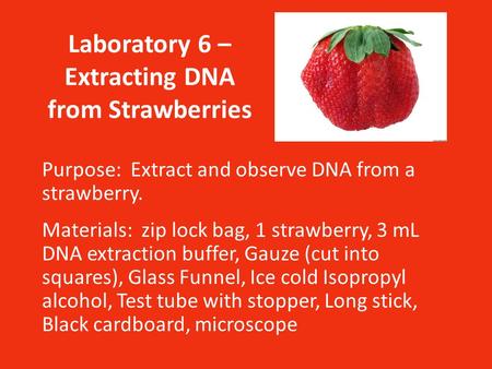 Laboratory 6 – Extracting DNA from Strawberries