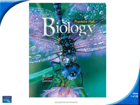 Slide 1 of 28 Copyright Pearson Prentice Hall Biology.