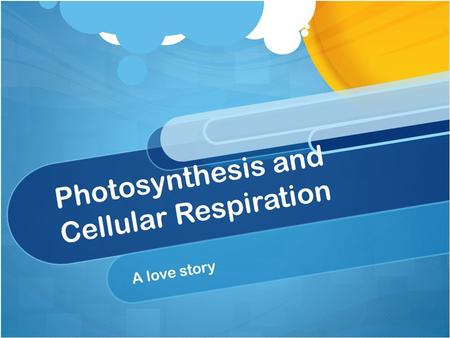 Photosynthesis and Cellular Respiration A love story.