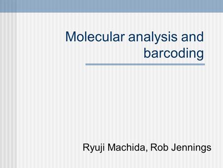 Molecular analysis and barcoding Ryuji Machida, Rob Jennings.