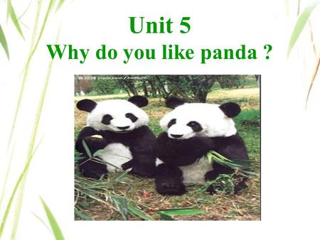 Unit 5 Why do you like panda ?.
