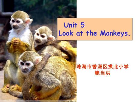Unit 5 Look at the Monkeys. 珠海市香洲区拱北小学 鲍当洪 elephant monkey fish kangaroocatfrog.
