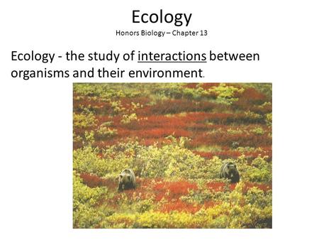 Ecology Honors Biology – Chapter 13 Ecology - the study of interactions between organisms and their environment.