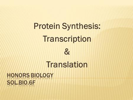 Protein Synthesis: Transcription & Translation.