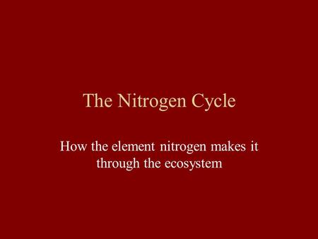 The Nitrogen Cycle How the element nitrogen makes it through the ecosystem.