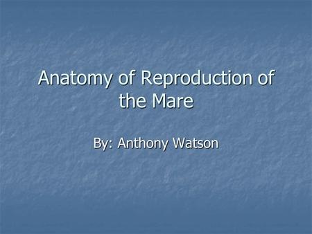 Anatomy of Reproduction of the Mare
