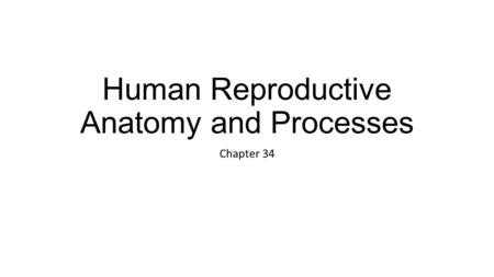 Human Reproductive Anatomy and Processes