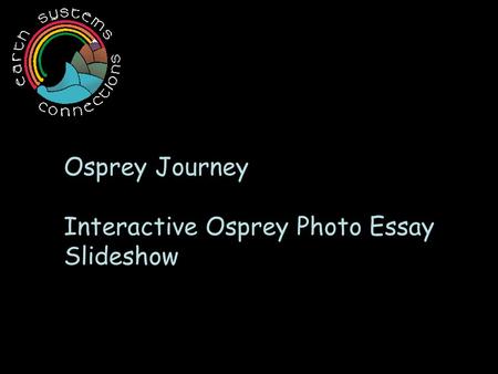 Osprey Journey Interactive Osprey Photo Essay Slideshow.