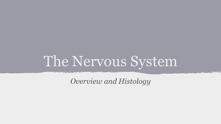 The Nervous System Overview and Histology. Overview of the Nervous System ●Objectives: ○ List the structure and basic functions of the nervous system.