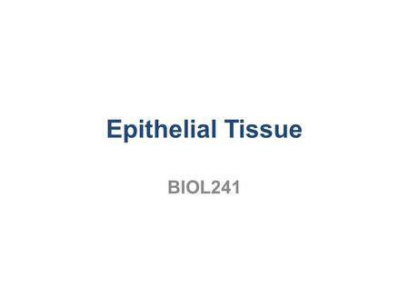 Epithelial Tissue BIOL241.