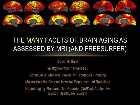 The many facets of brain aging as assessed by mri (and Freesurfer)