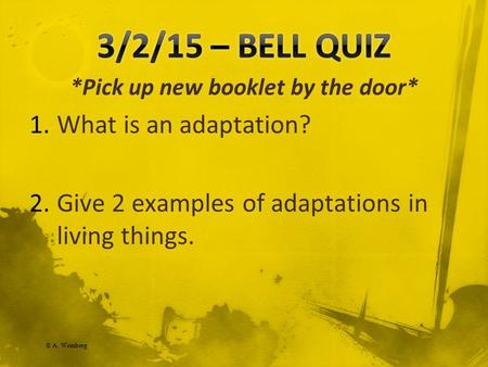 © A. Weinberg *Pick up new booklet by the door* 1.What is an adaptation? 2.Give 2 examples of adaptations in living things.