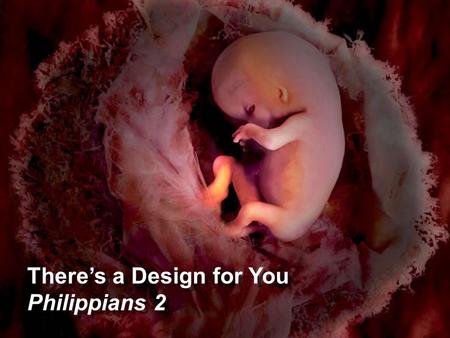 There’s a Design for You Philippians 2 There’s a Design for You Philippians 2.