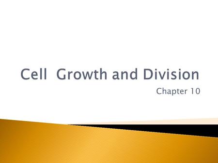 Chapter 10. Limits to cell size  Ability of DNA to control cell functions ◦ Think of only having one set of directions and tools to build an entire.